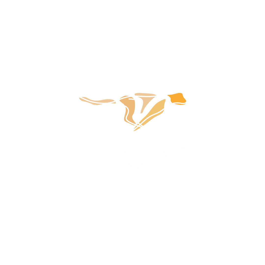 Patagonia Labs